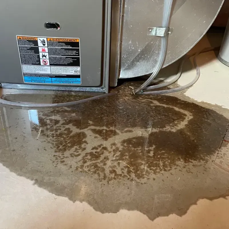 Appliance Leak Cleanup in McDowell County, NC